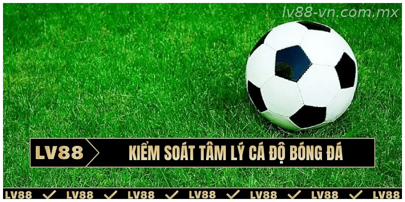 Cách kiểm soát cảm xúc khi theo dõi bóng đá