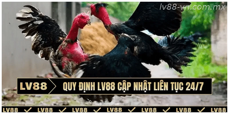 Quy định LV88 cập nhật liên tục 24/7