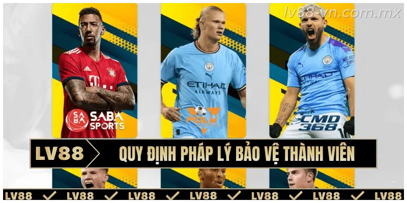 Quy định pháp lý bảo vệ thành viên