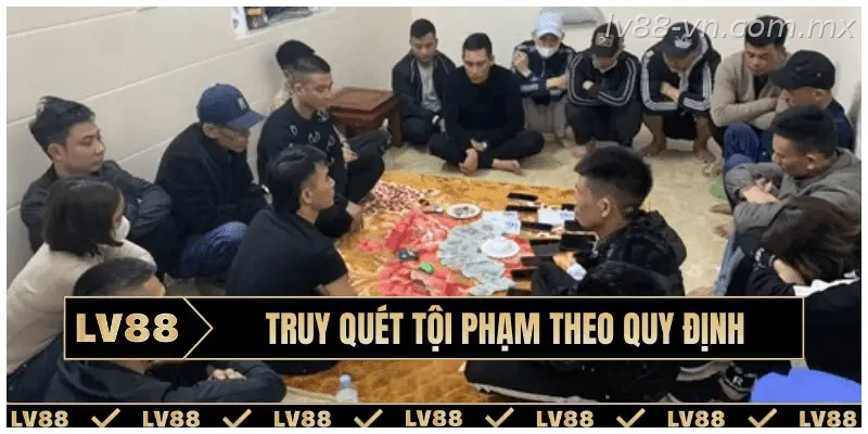 Tìm hiểu trách nhiệm pháp lý liên quan đến tổ chức đánh bạc